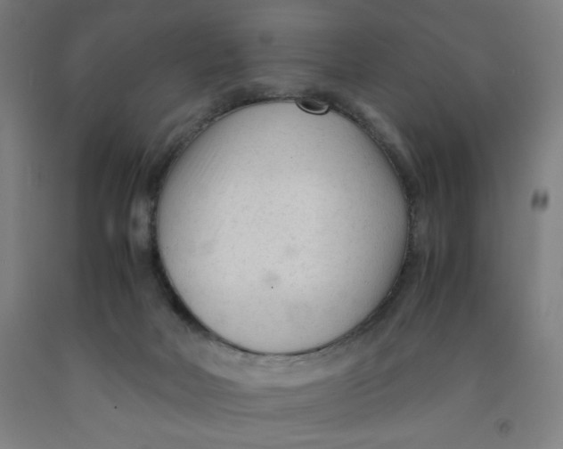 X0000091920026200709261652