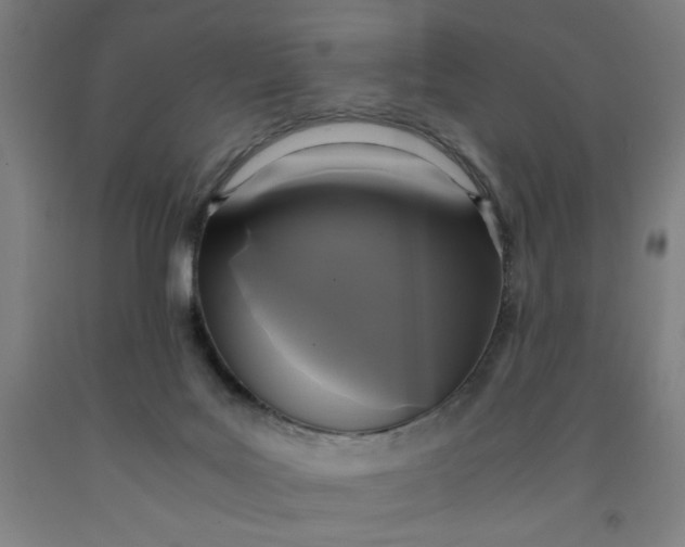 X0000091920027200709261652