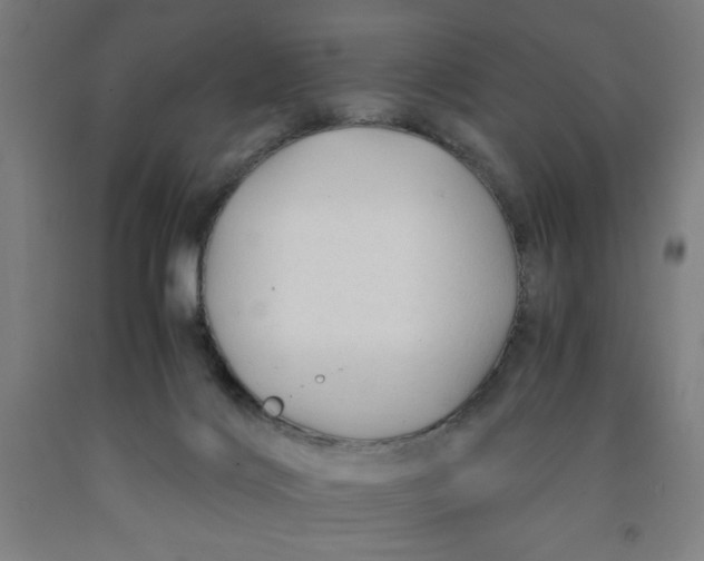 X0000091920028200709261652