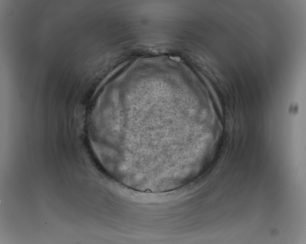 X0000091920030200709261652