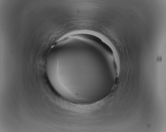 X0000091920031200709261652