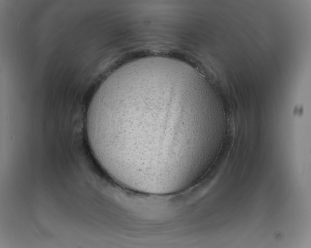 X0000091920032200709261652