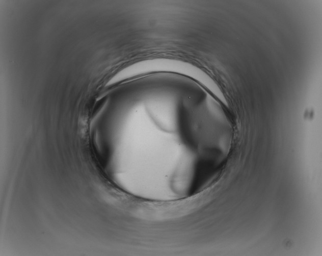 X0000091920033200709261652