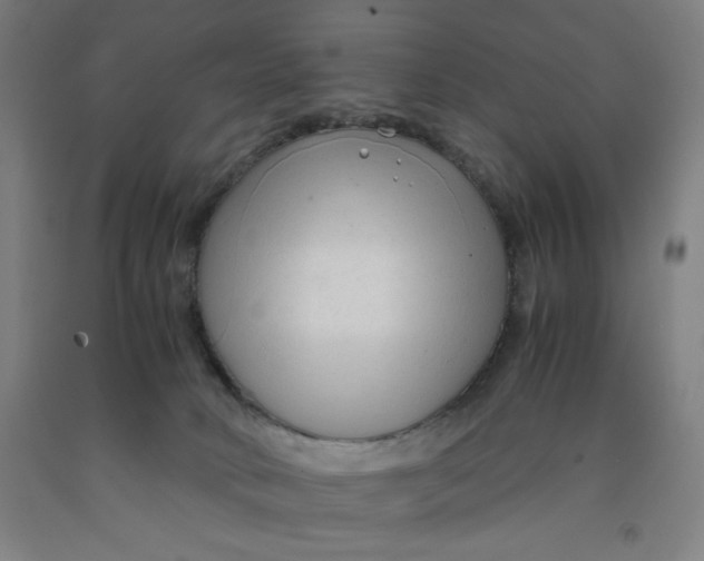 X0000091920034200709261652
