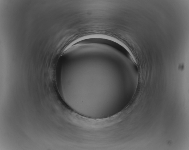 X0000091920035200709261652