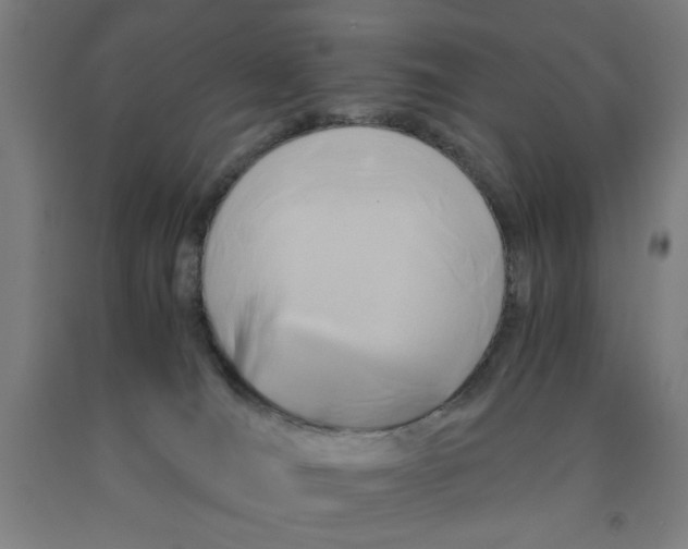 X0000091920036200709261652