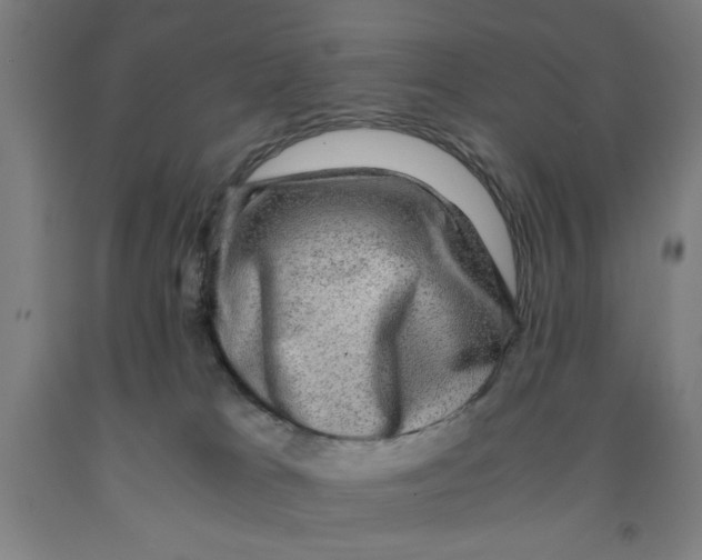 X0000091920037200709261652