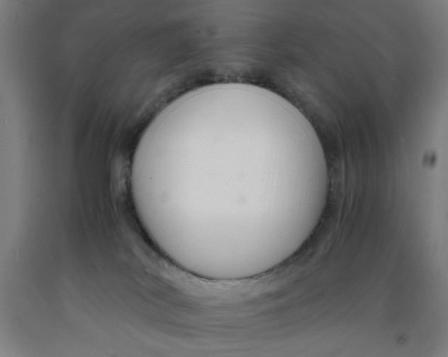 X0000091920038200709261652