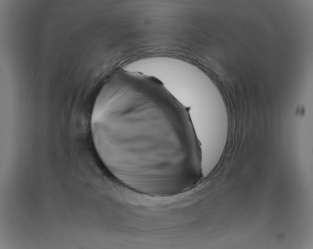 X0000091920039200709261652