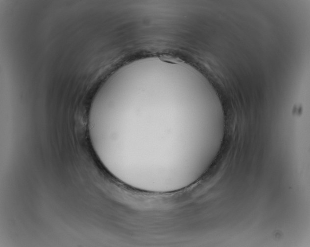 X0000091920040200709261652