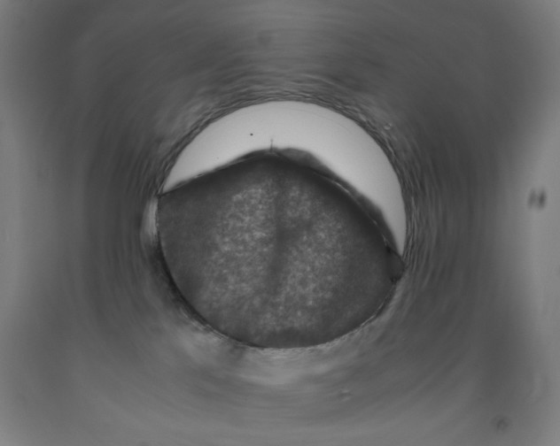 X0000091920041200709261652