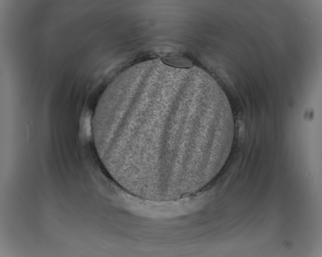 X0000091920042200709261652