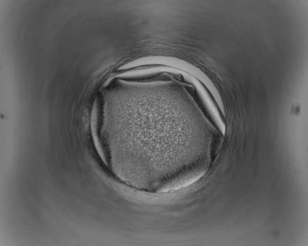 X0000091920043200709261652