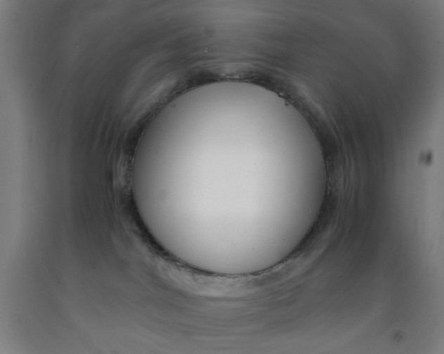 X0000091920044200709261652
