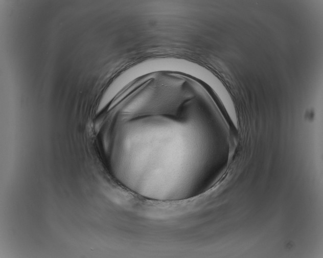 X0000091920045200709261652