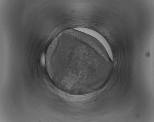 X0000091920046200709261652