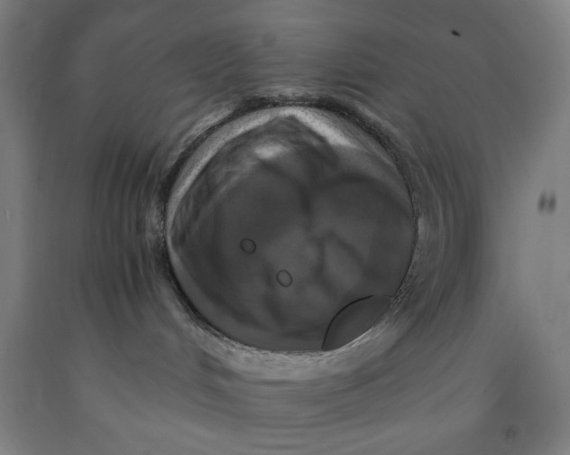 X0000091920048200709261652