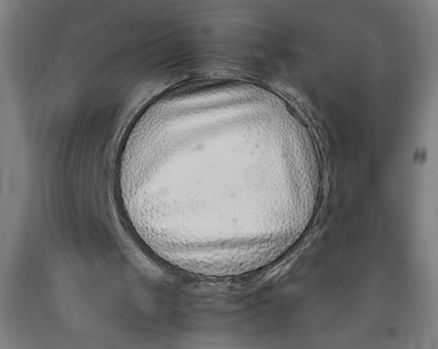 X0000091920049200709261651