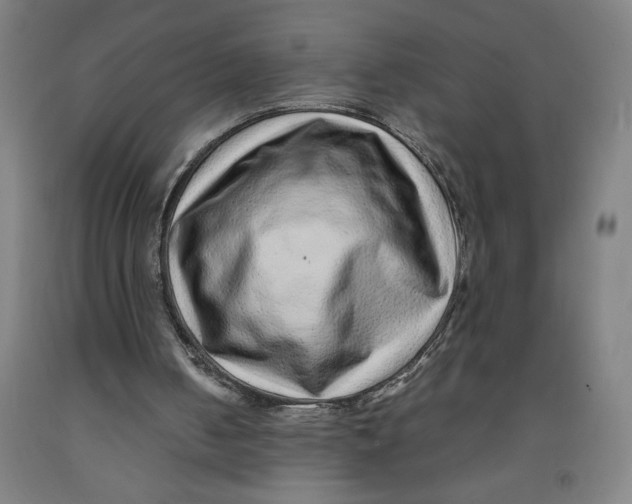 X0000091920050200709261651