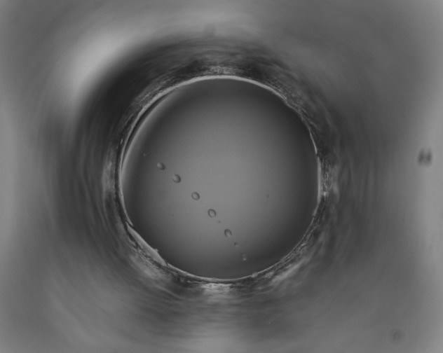 X0000091920052200709261651