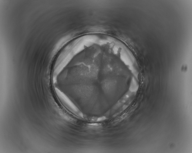 X0000091920053200709261651