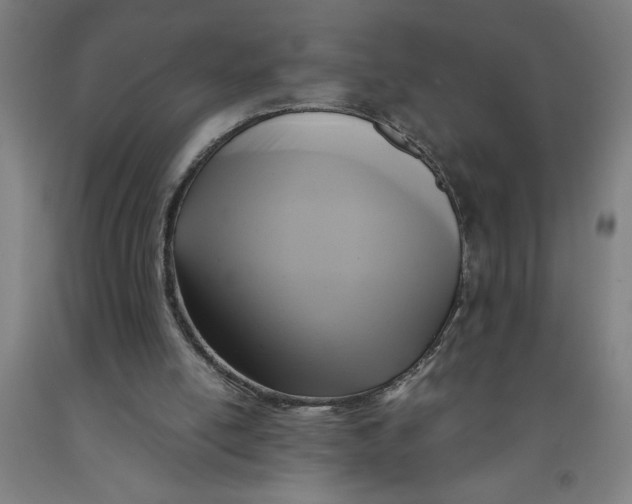 X0000091920054200709261651
