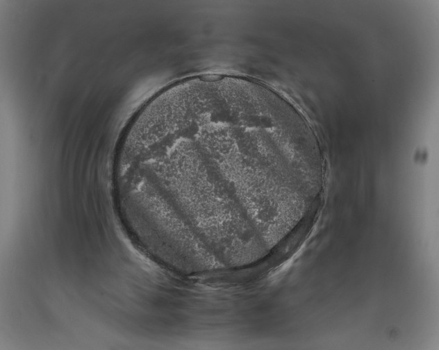 X0000091920055200709261651