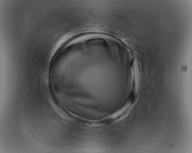 X0000091920056200709261651