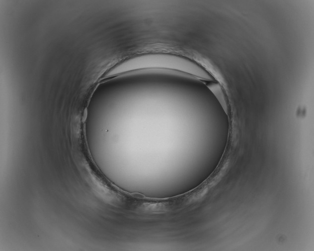 X0000091920057200709261651
