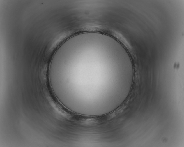 X0000091920058200709261651