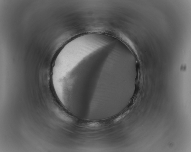 X0000091920059200709261651