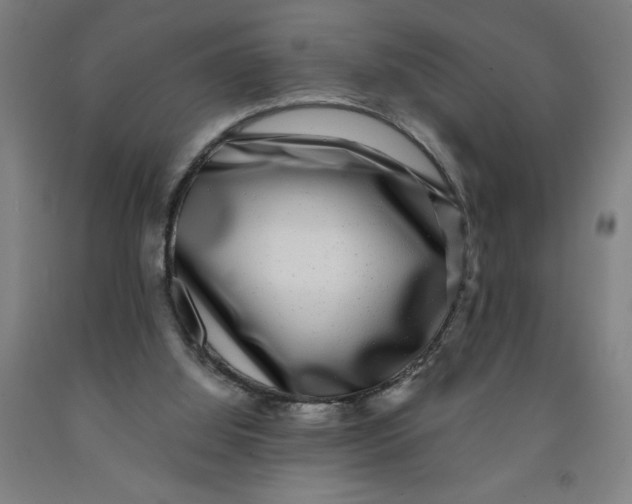 X0000091920060200709261651