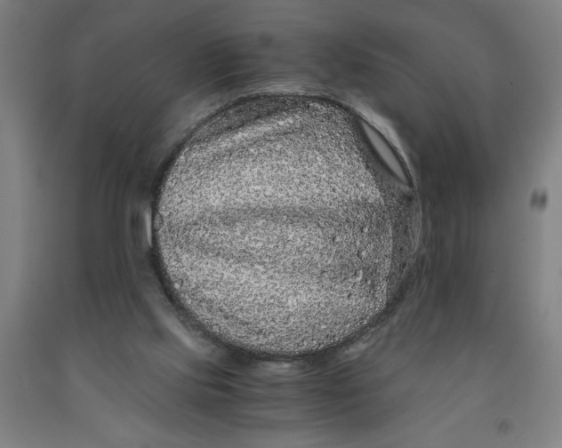 X0000091920061200709261651