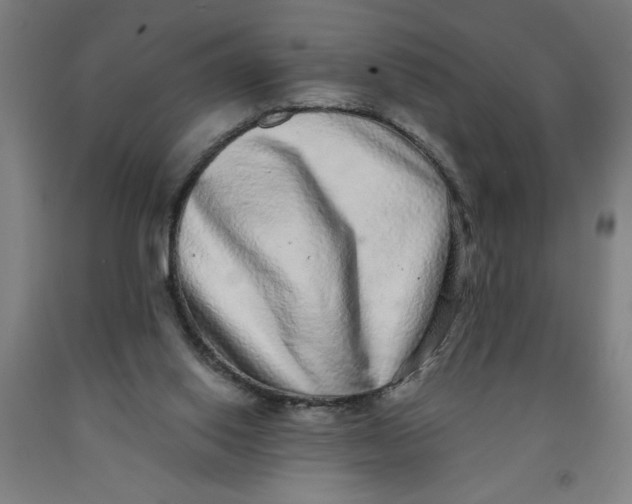X0000091920062200709261651