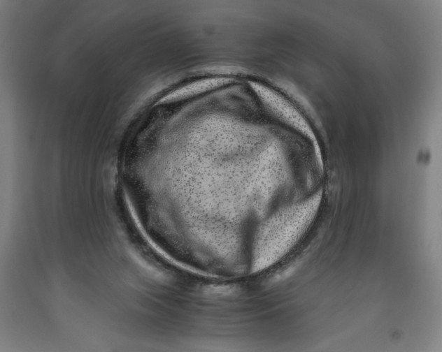 X0000091920063200709261651