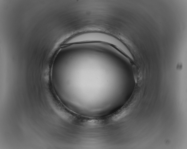 X0000091920064200709261651