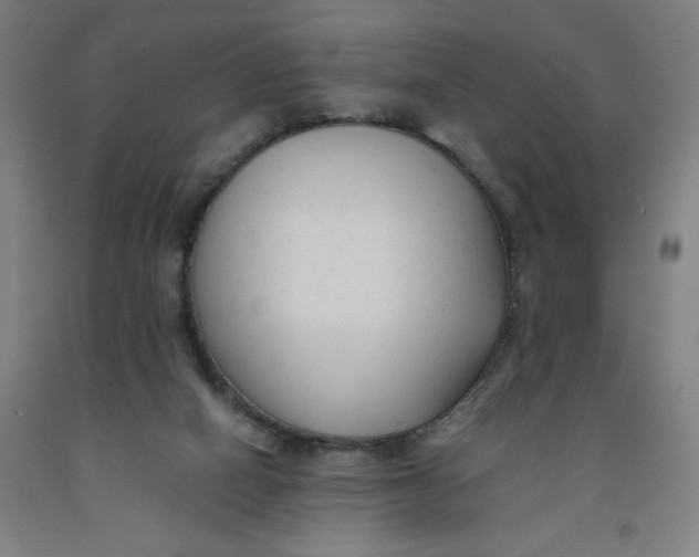 X0000091920066200709261651