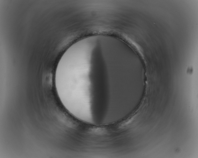 X0000091920067200709261651