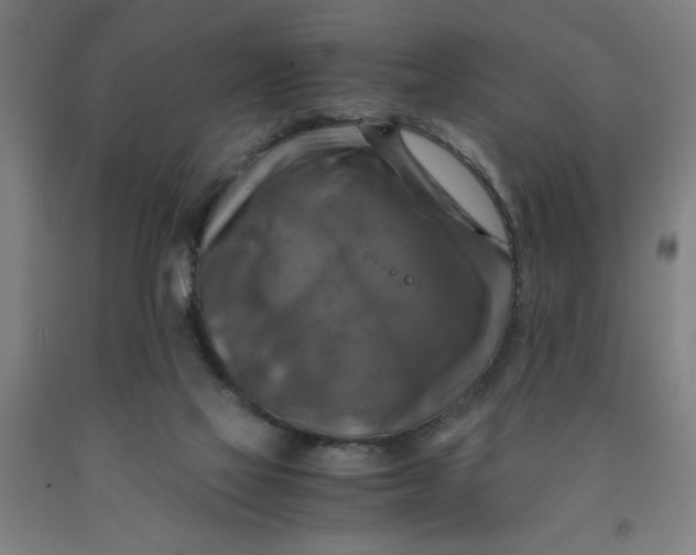 X0000091920069200709261651