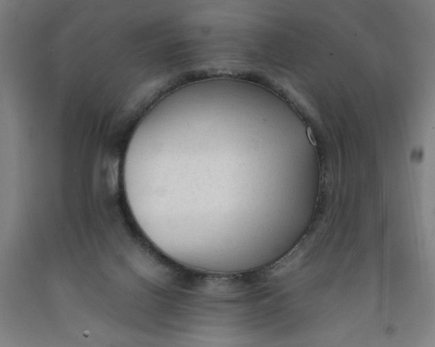 X0000091920070200709261651