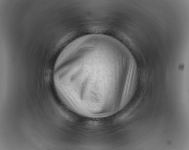 X0000091920071200709261651
