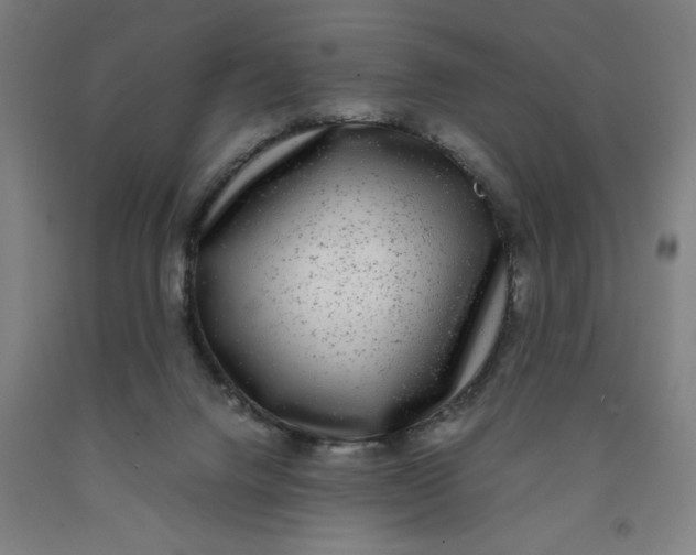 X0000091920072200709261651