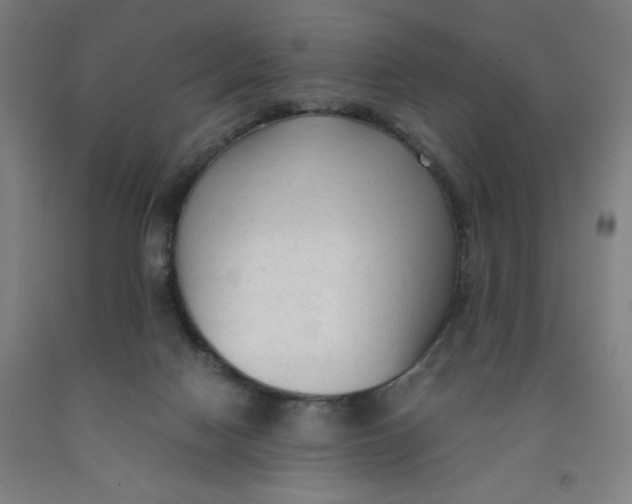 X0000091920074200709261651