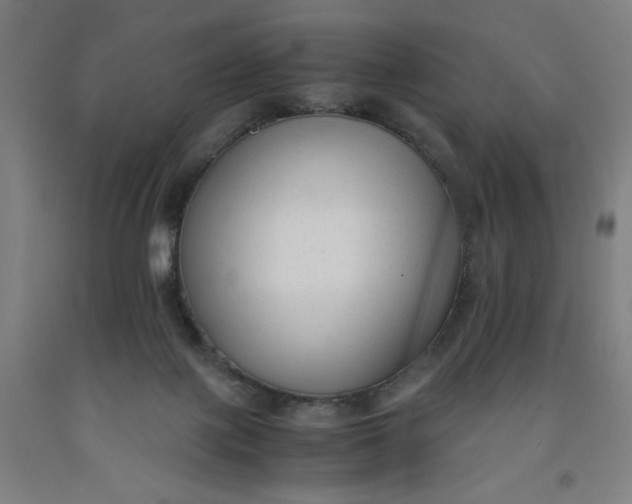 X0000091920075200709261651