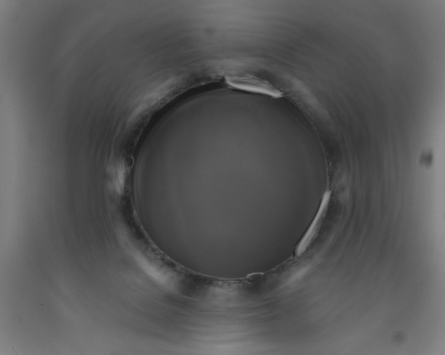 X0000091920076200709261651
