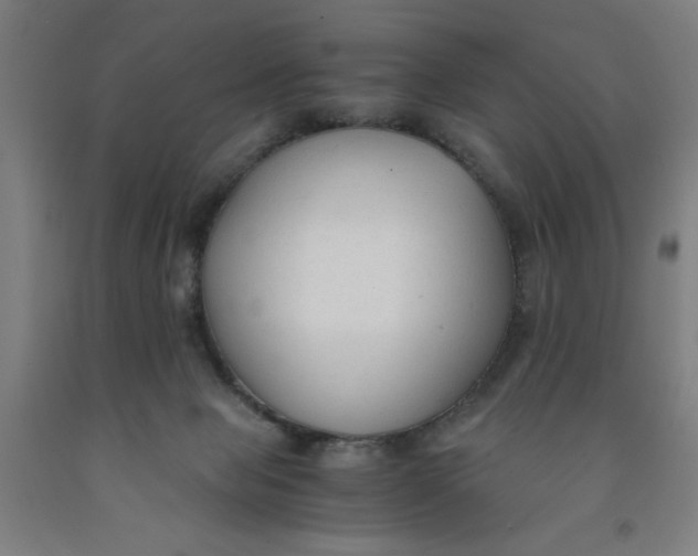 X0000091920077200709261651