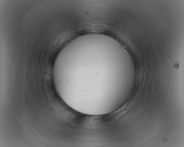 X0000091920078200709261651