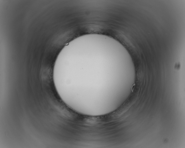 X0000091920079200709261651