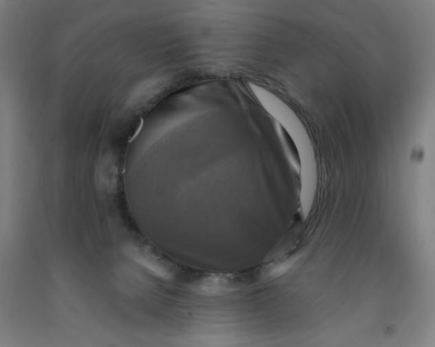 X0000091920080200709261651