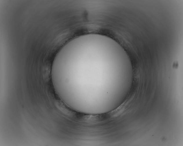 X0000091920082200709261651